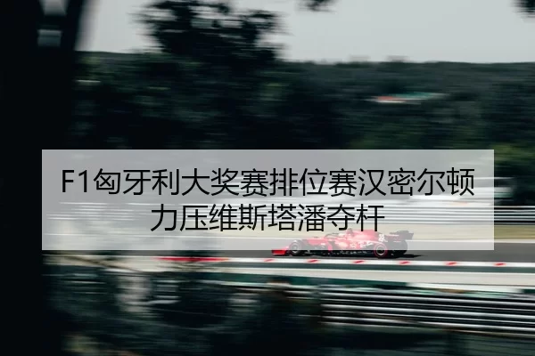 xiong-ya-li-da-jiang-sai-pai-wei-sai-han-mi-er-dun-li-ya-wei-si-ta-pan-duo-gan-2-136.jpg